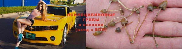 синтетический гашиш Дмитриев