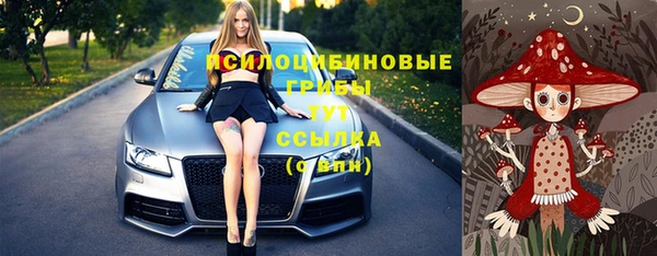 прущая мука Елизово